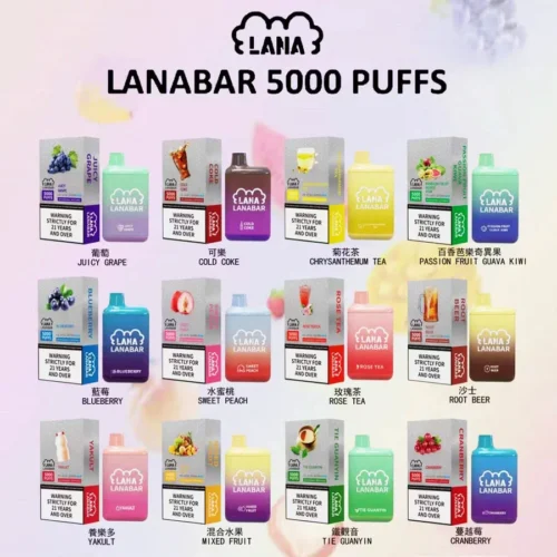 Alternative view of LANA BAR 5000口一次性電子煙